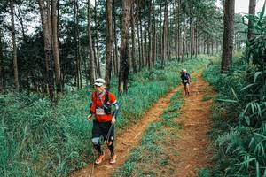 BIB: 
                            <button type="button" onclick="openModal(25658172)" class="btn btn-primary btn-sm float-right btn-popup" data-toggle="modal" data-target=".modal-high-quality">
                        <i class="fas fa-shopping-cart"></i> Add to Cart
                    </button>
                                            <button type="button" onclick="isThisMe(25658172, true)" class="btn btn-success btn-sm float-right btn-popup btn-isme hidden" data-toggle="tooltip" data-placement="bottom" title="นี่คือรูปของคุณใช่ไหม คลิกที่นี่เพื่อเอาเข้าอัลบั้ม">
                        <i class="fas fa-plus"></i> Add to album
                    </button>
                    <button type="button" onclick="isThisMe(25658172, false)" class="btn btn-warning btn-sm float-right btn-popup btn-isnotme hidden">
                        <i class="fas fa-ban"></i> Remove from album
                    </button>